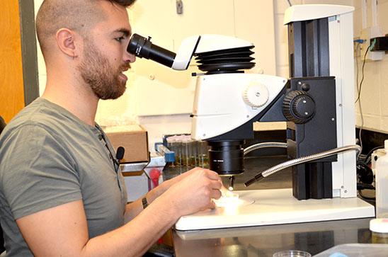 Jamin Dreyer looking into microscope at sample of a bug. 