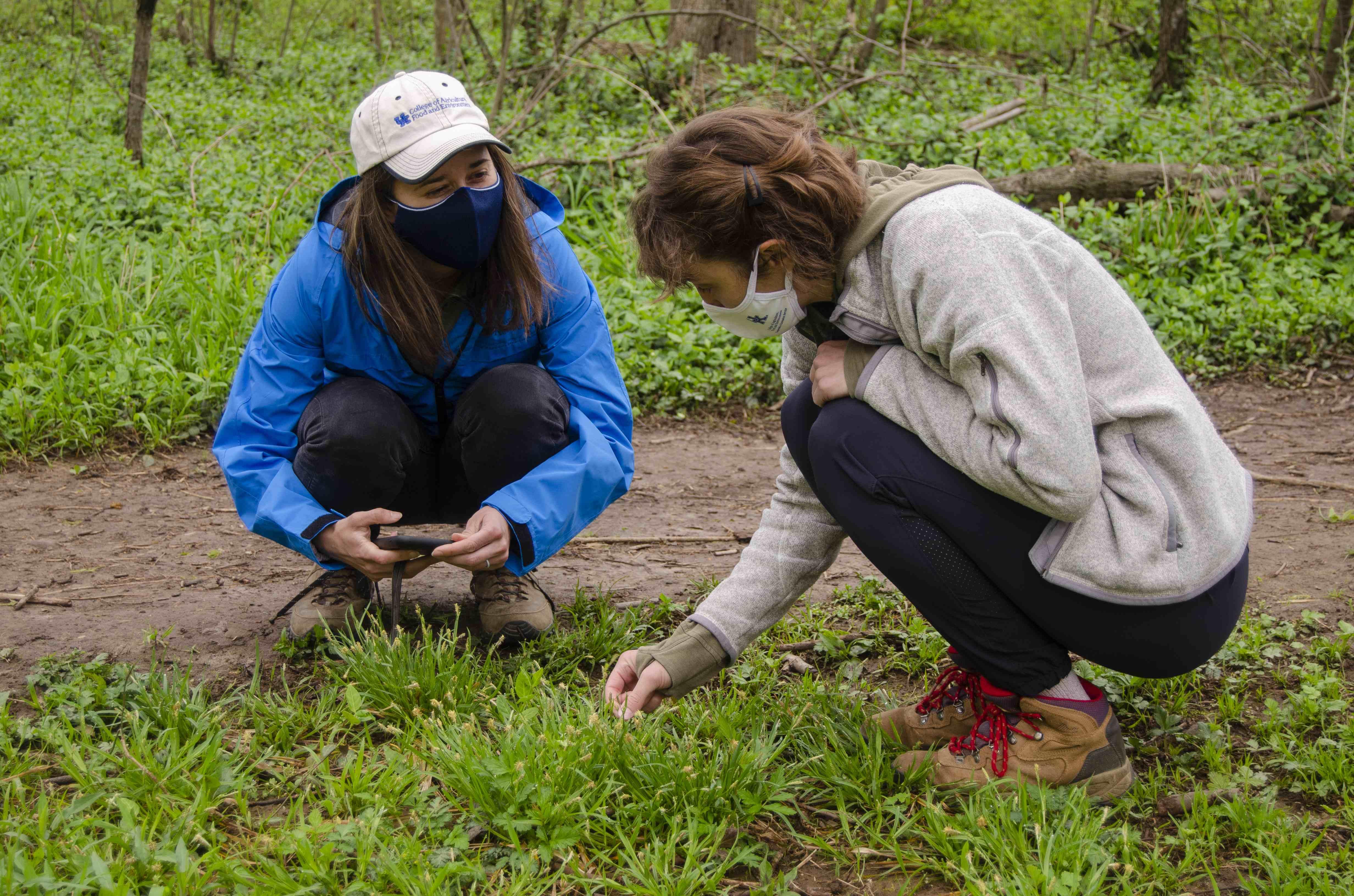 Students learn about their local environment in the Master Naturalist Program.