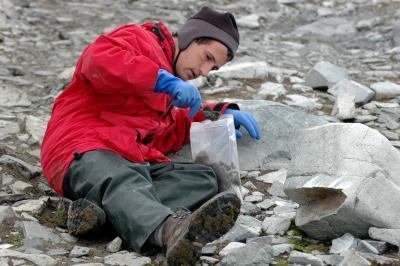UK entomologist Nick Teets collects midges on a previous trip to Antarctica. 
