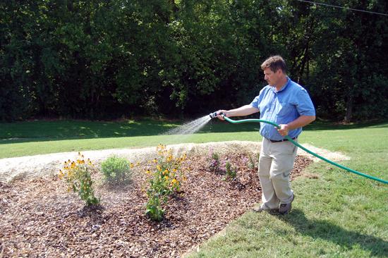 Rick Durham, UK consumer horticulture specialist waters a newly installed rain garden. 