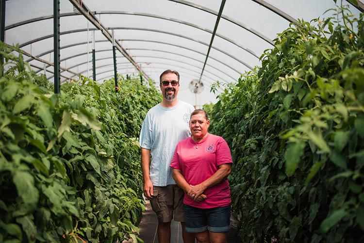 Mark and Velvet Henkle in a high tunnel with tomato plants