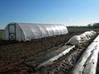high plastic tunnel high plastic tunnel