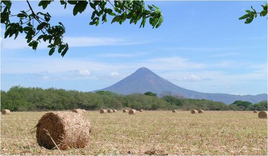 Hay rolls stand in a Nicaraguan field with Volcano Momotombo in the background. 