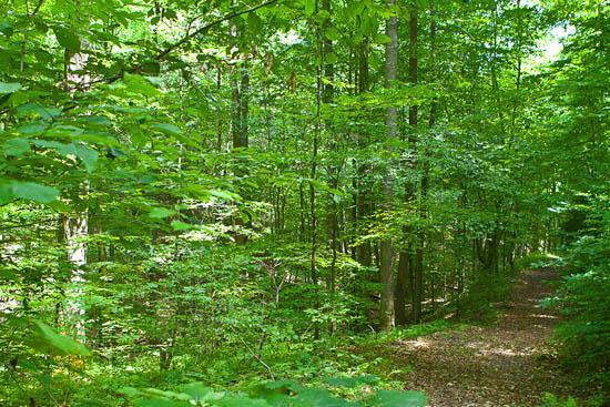 Ohio River Valley Woodland and Wildlife Workshop on March 23 