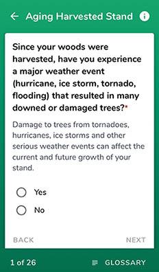 The HealthyWoods app asks users a series of questions.