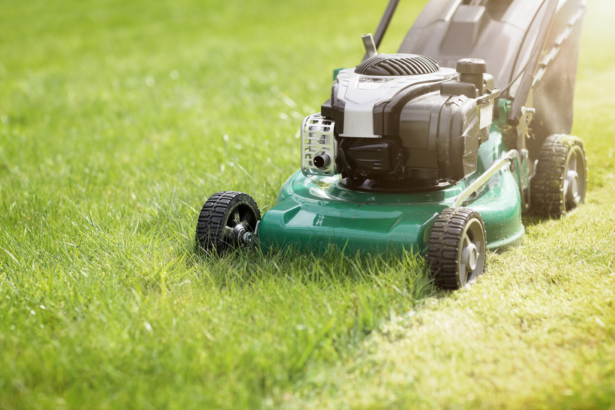 Student discount lawn mowing