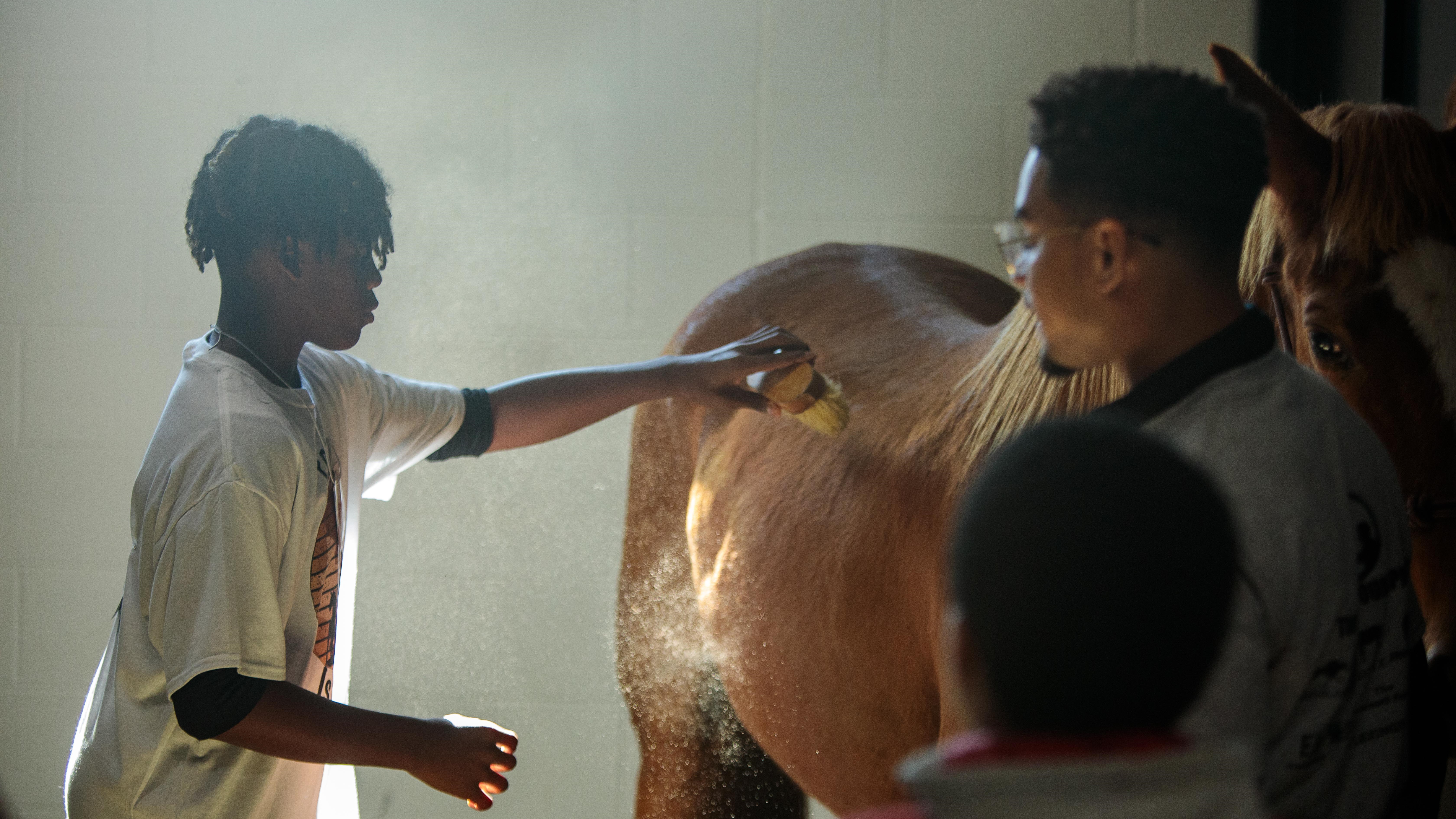 Youth grooming a horse at Equine Is For All event.