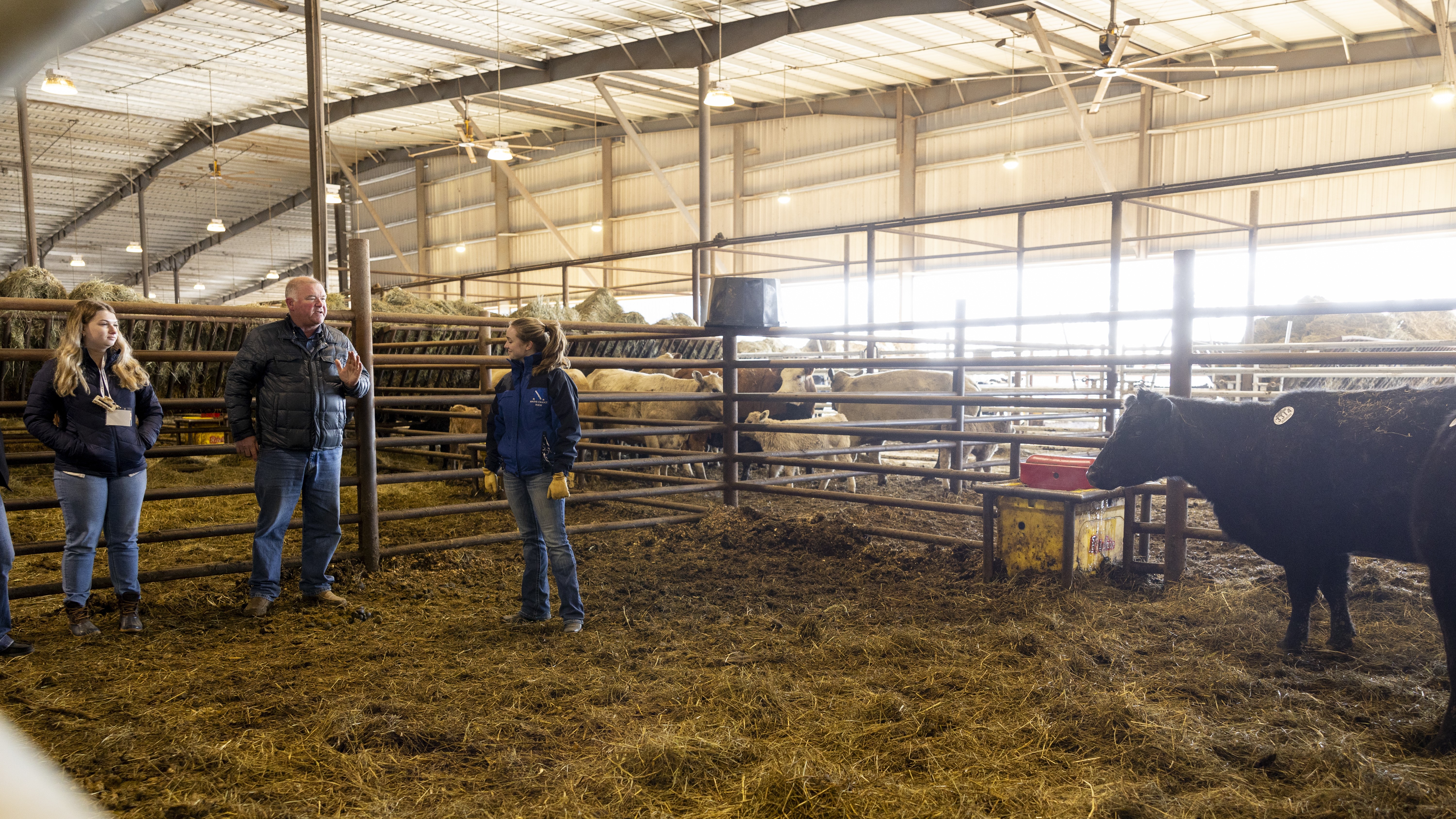Students, while supervised, had an opportunity to participate in hands-on learning while on the Bluegrass Stockyards industry tour. Photo by Sabrina Hounshell.
