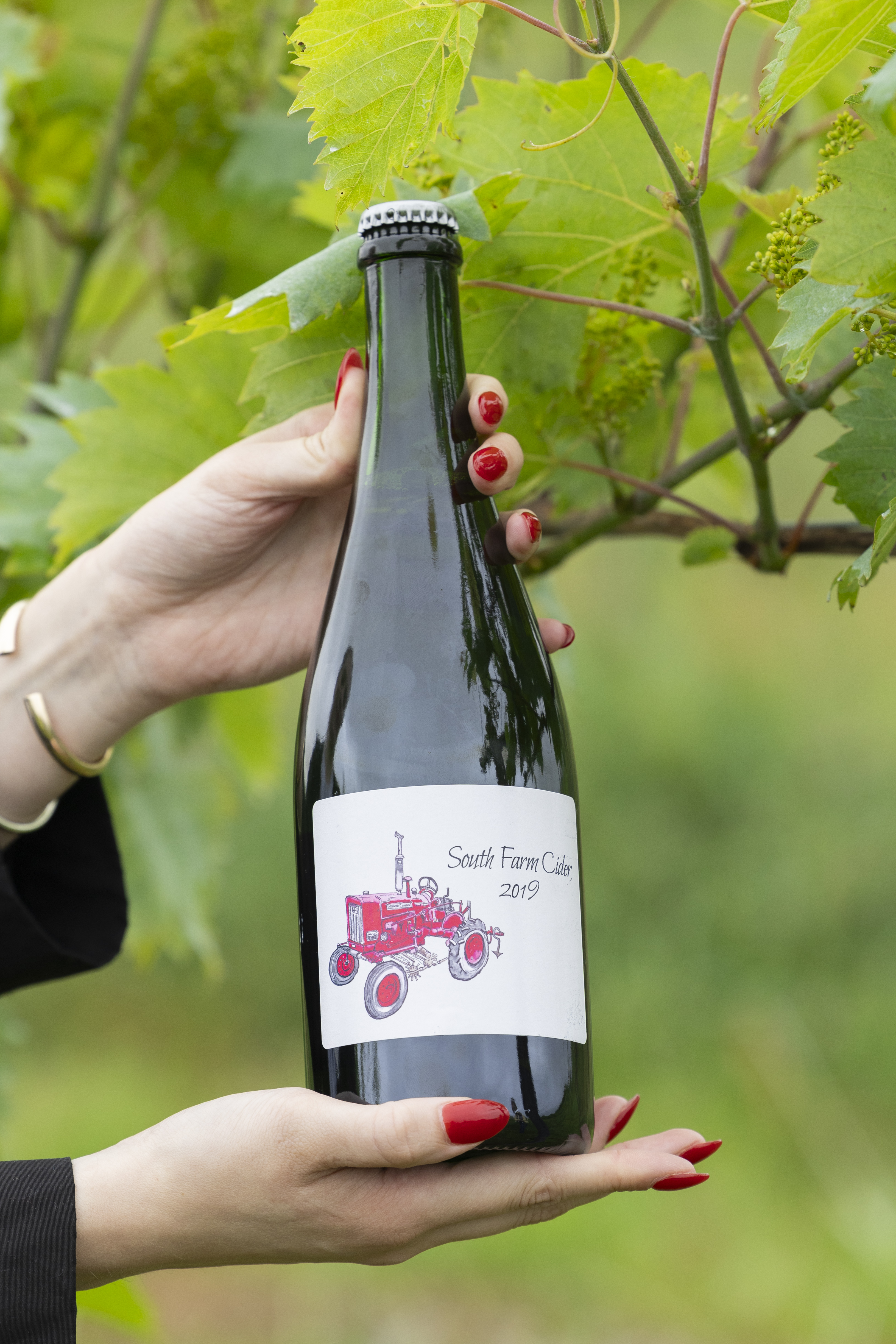 Bottle of UK South Farm Cider, label features a red tractor