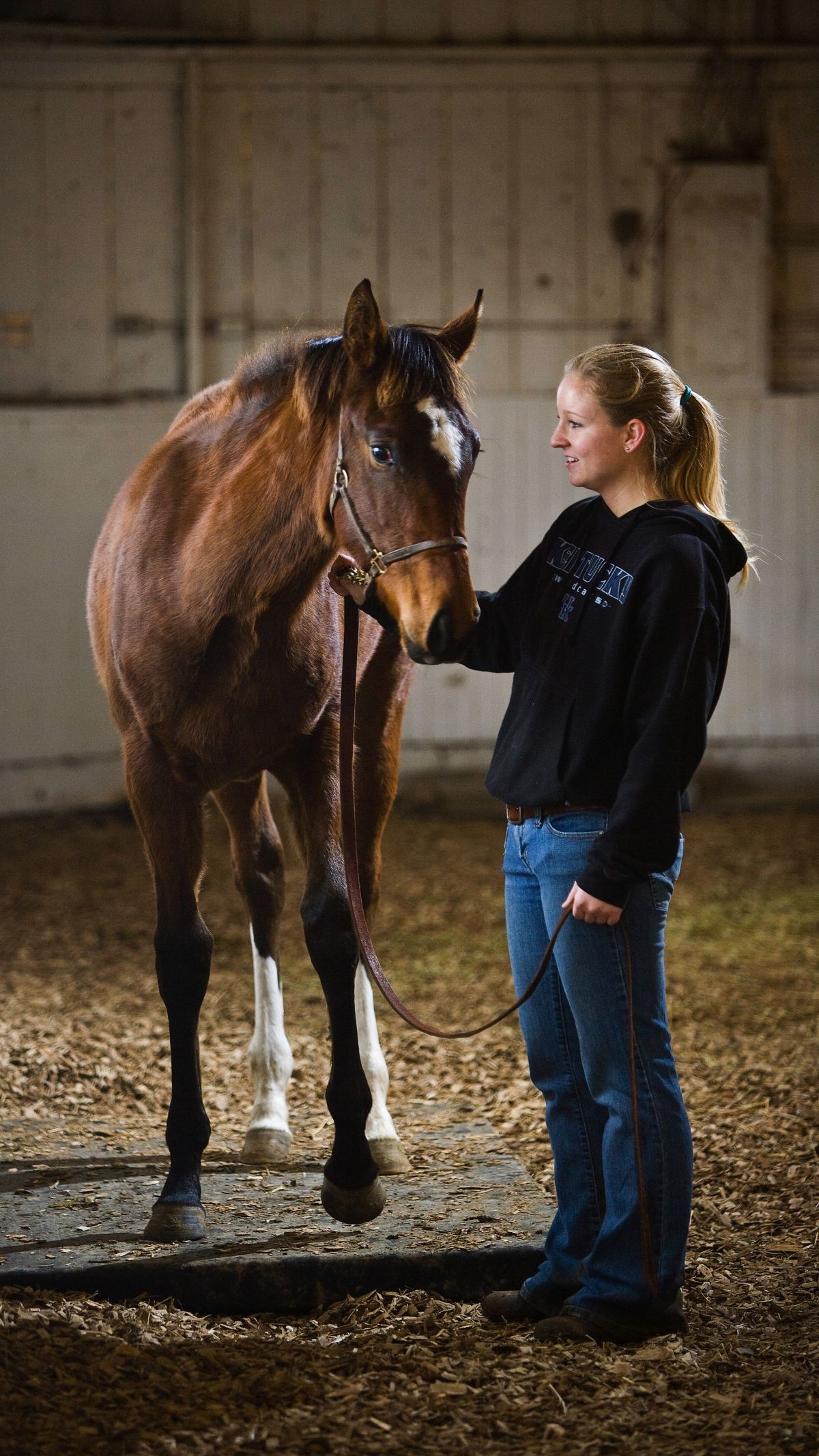 Student weighing a horse at Maine Chance Farm.