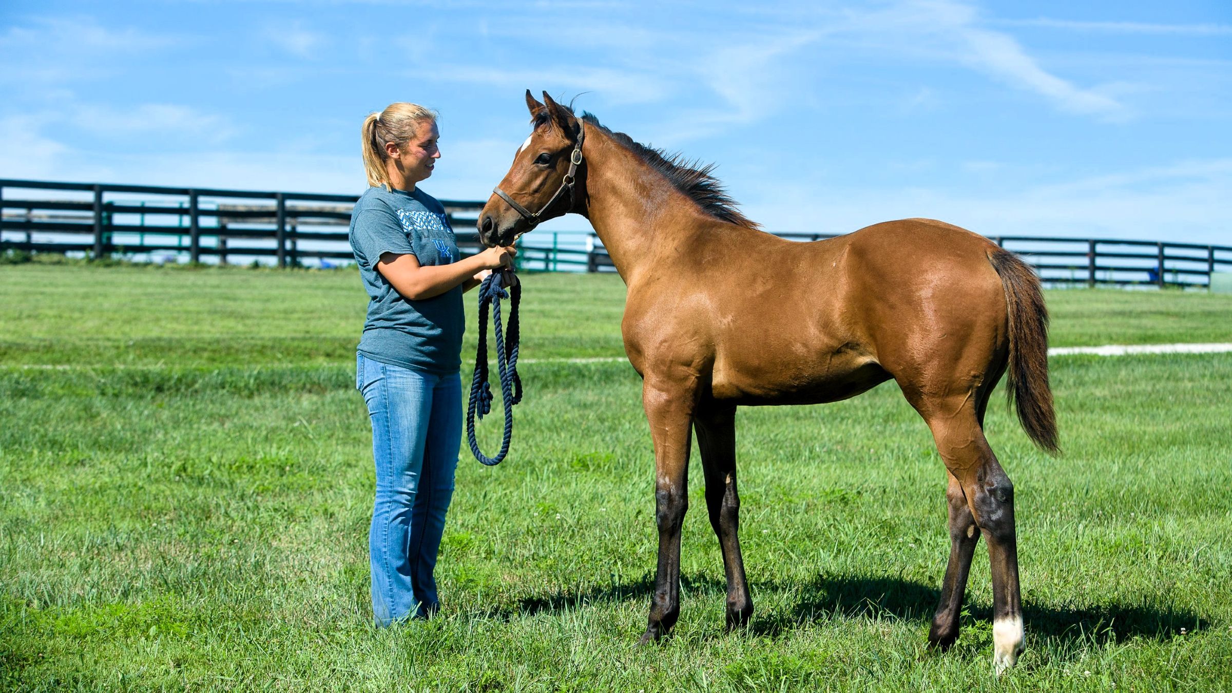 University of Kentucky student with horse on Maine Chance Farm.