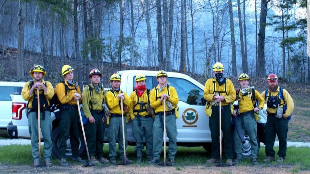 UK Fire Cats