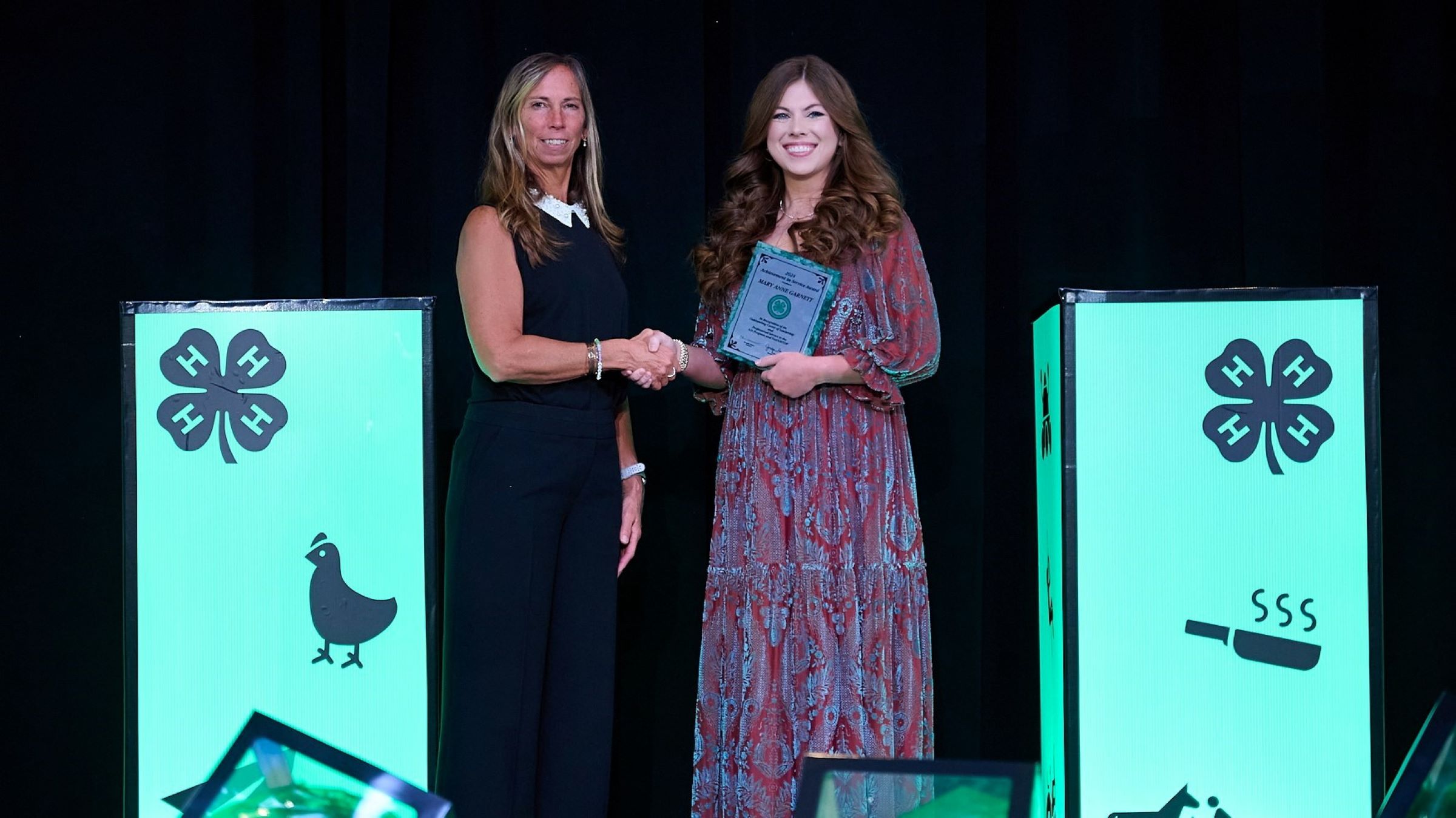 Mary Anne Garnett, Christian County Extension Office 4-H, recognized. Picture provided by Pro Image Event Photography of Idaho, LLC.