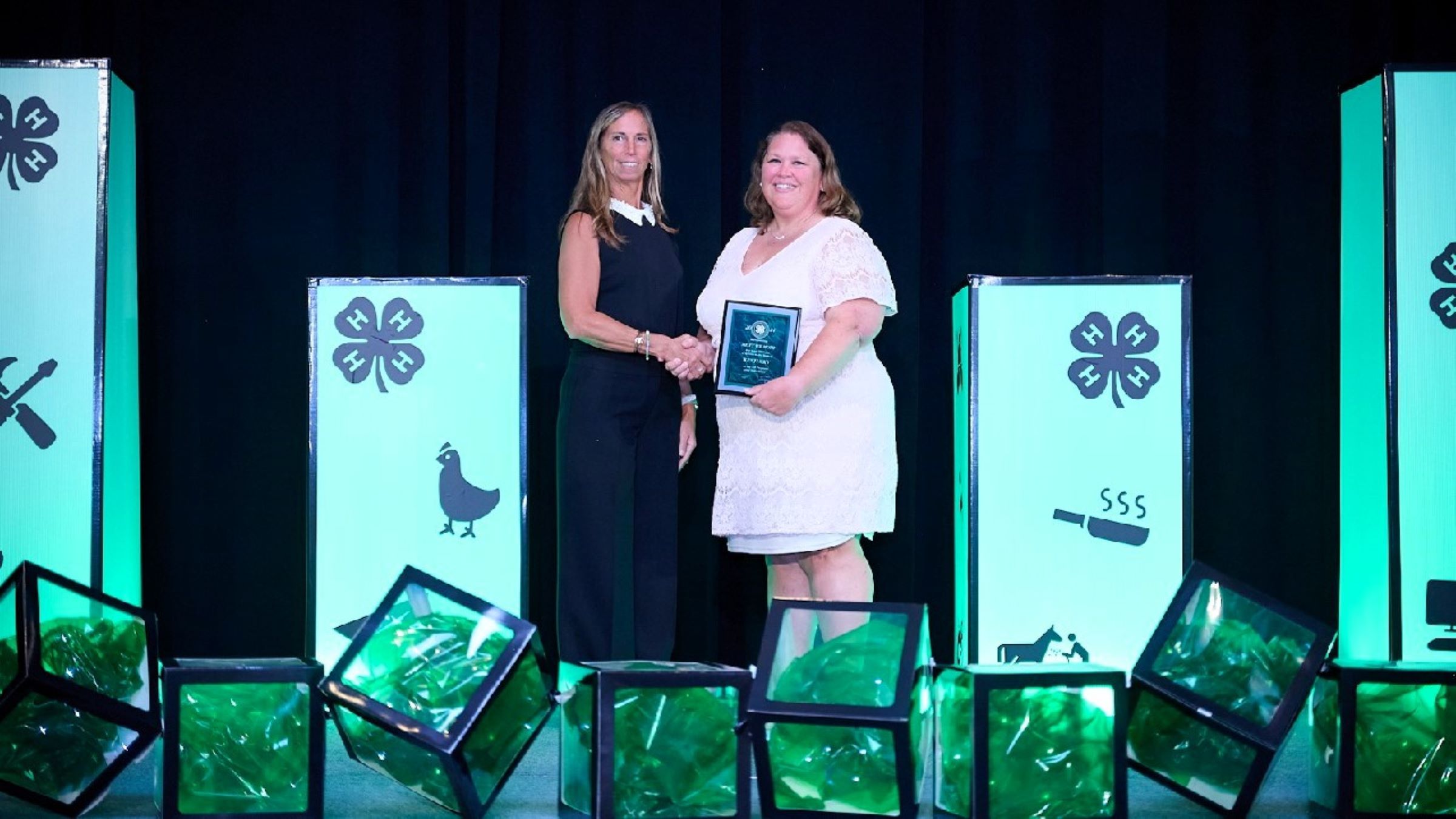 Misty Wilmoth, LaRue County Extension Office 4-H, recognized. Picture provided by Pro Image Event Photography of Idaho, LLC.