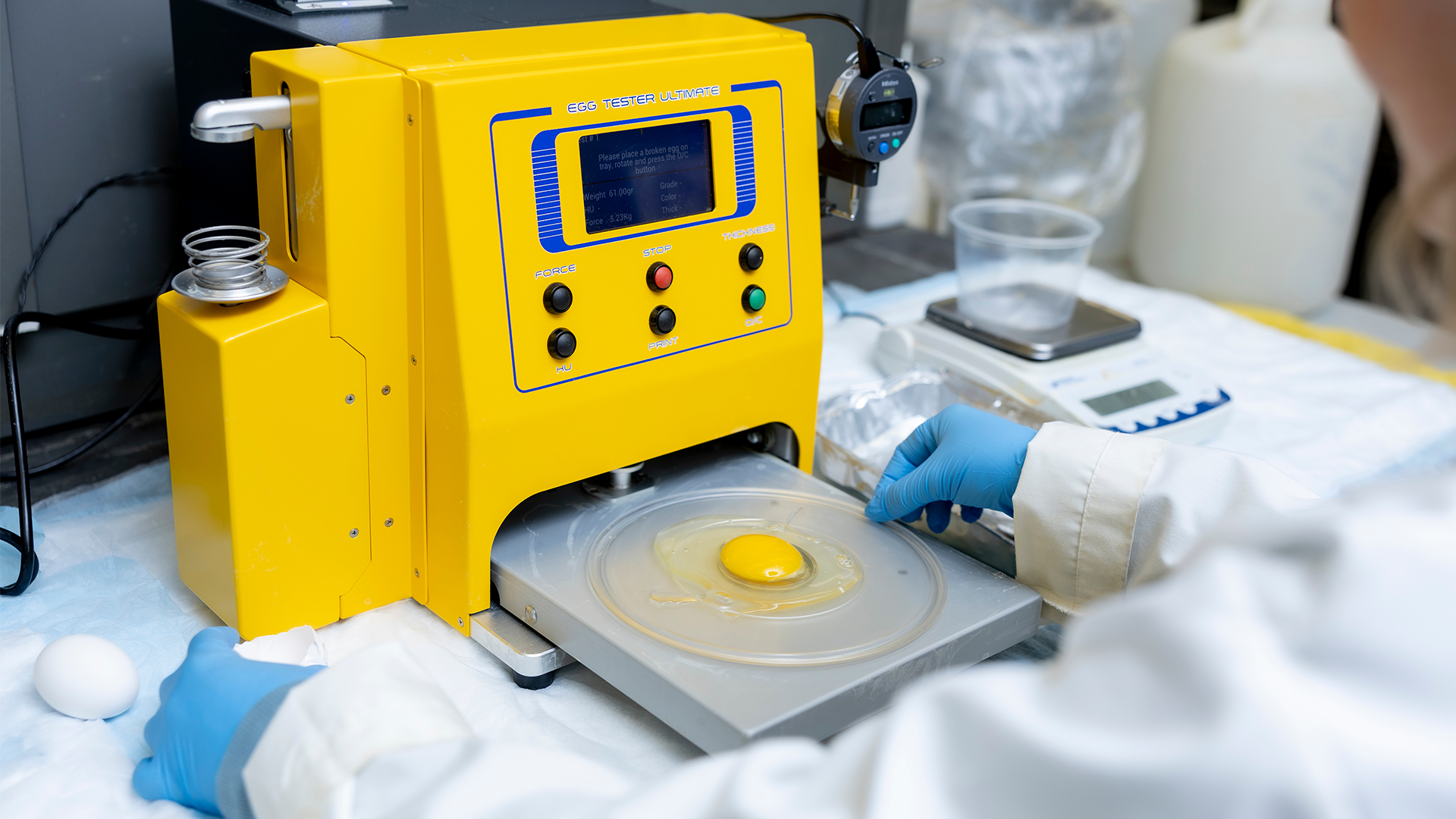 An egg is weighed on a yellow Egg Tester machine.