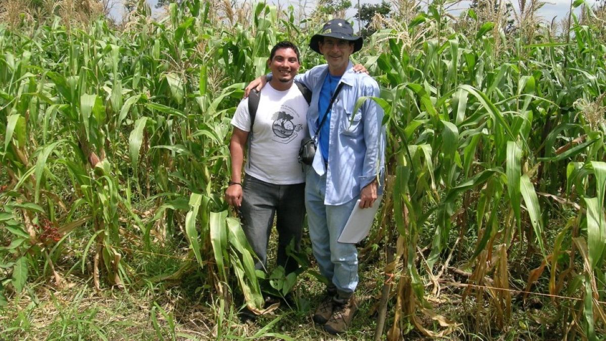 Paul Vincelli at corn field in Nicaragua. Photo courtesy of Lee Meyer