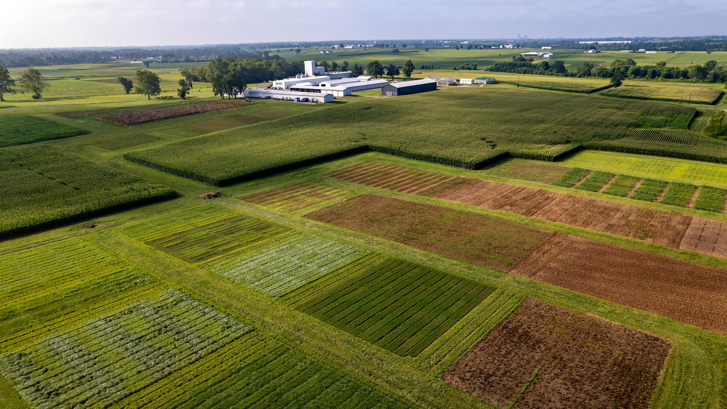 Research plots at a farm