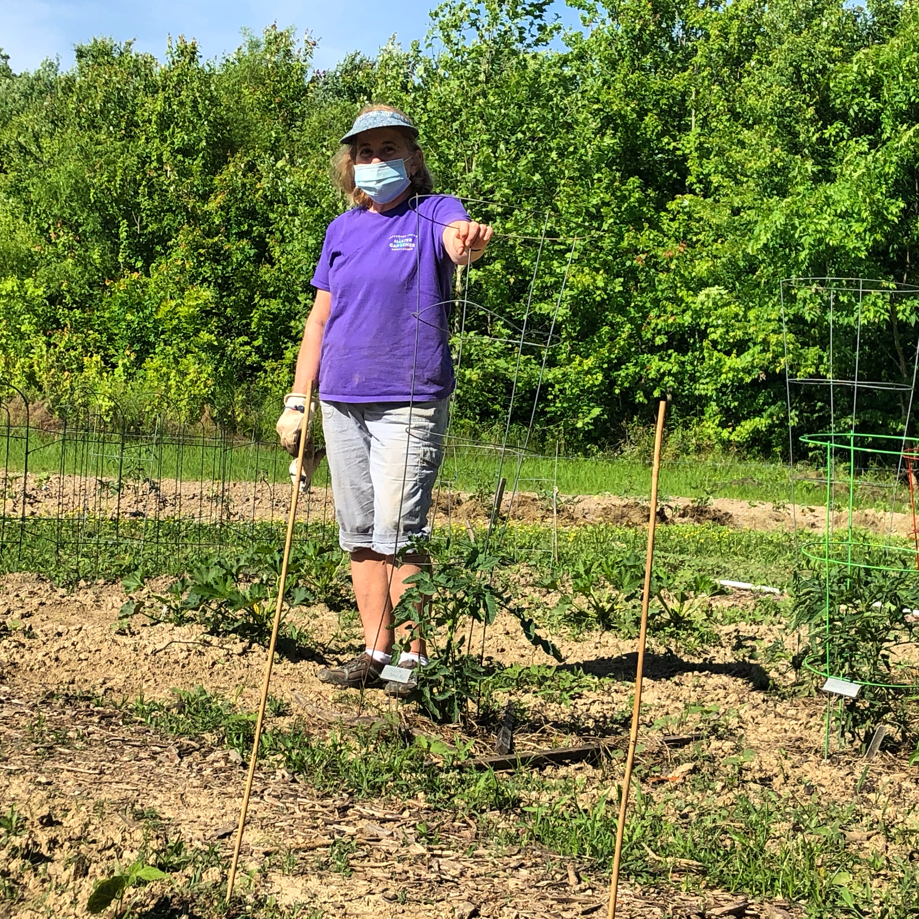 Master Gardener, Cindy George, at one of the 10 community gardens in Louisville that Jefferson County Extension manages.