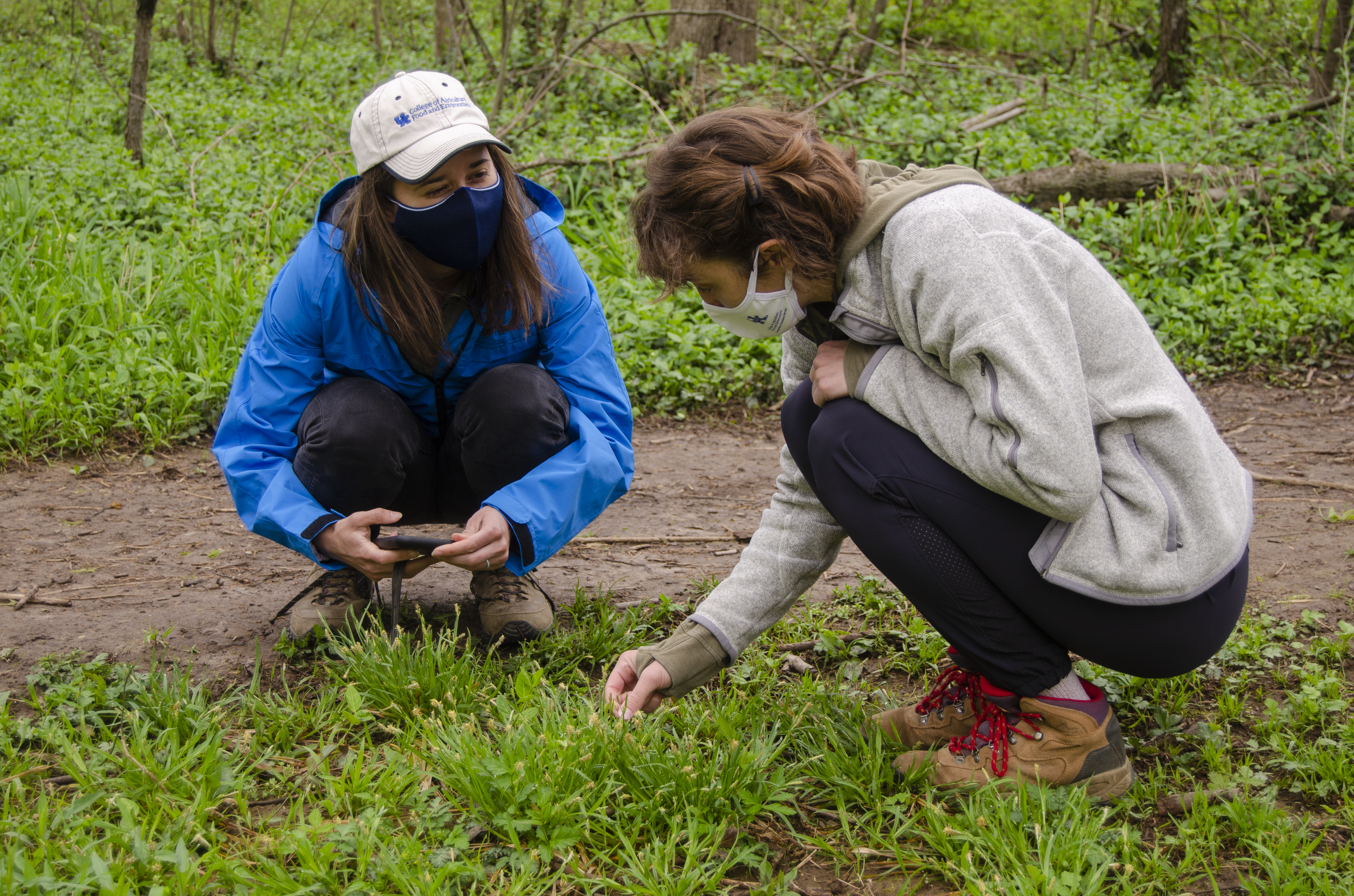Ellen Crocker (left) and Emily Ellingson examine native sedges growing in The Arboretum Woods. Photo by Carol Lea Spence