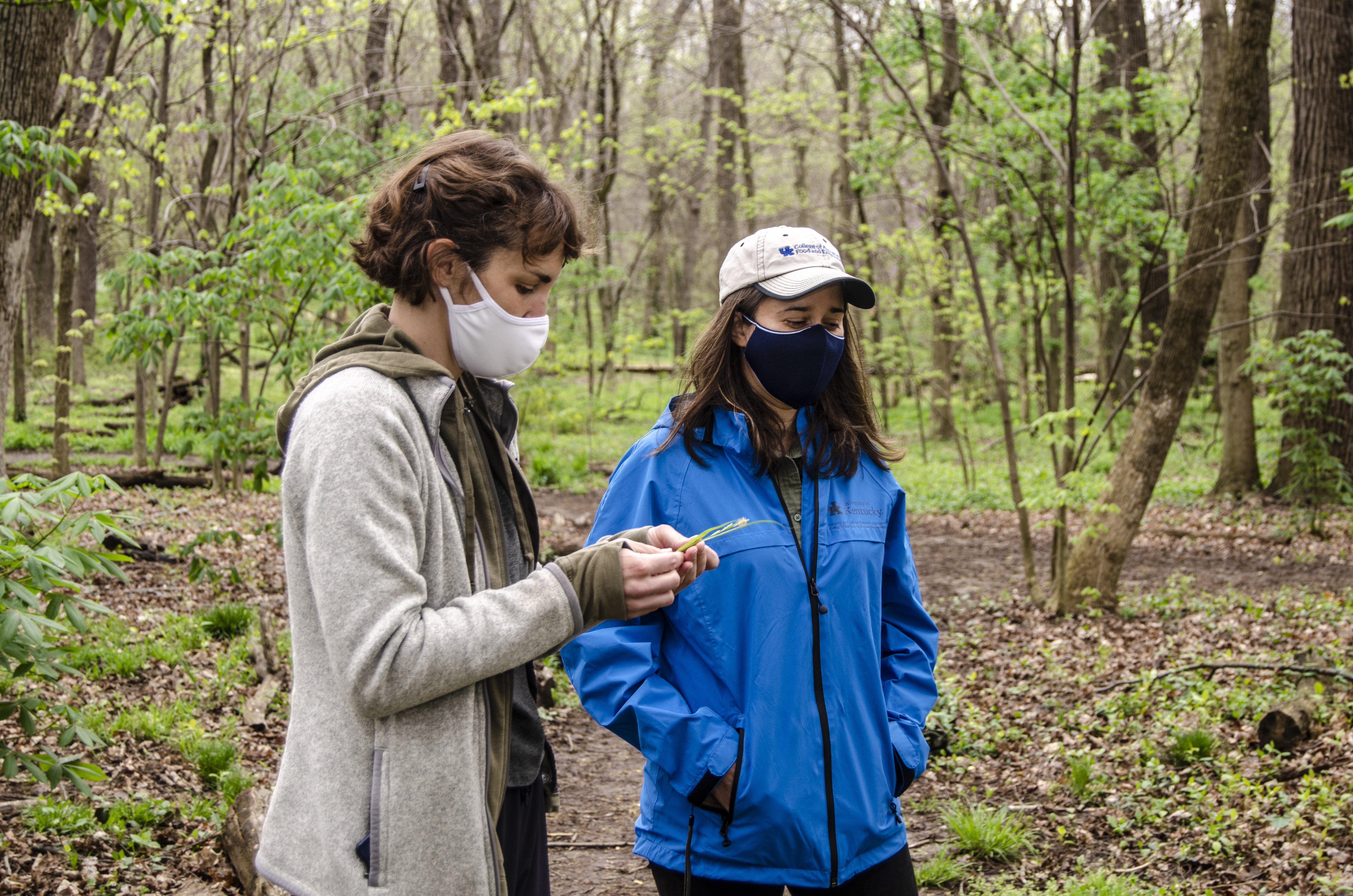 Emily Ellingson (left) and Ellen Crocker pause to examine the progress they are making in battling nonnative, invasive species in The Arboretum Woods. Photo by Carol Lea Spence