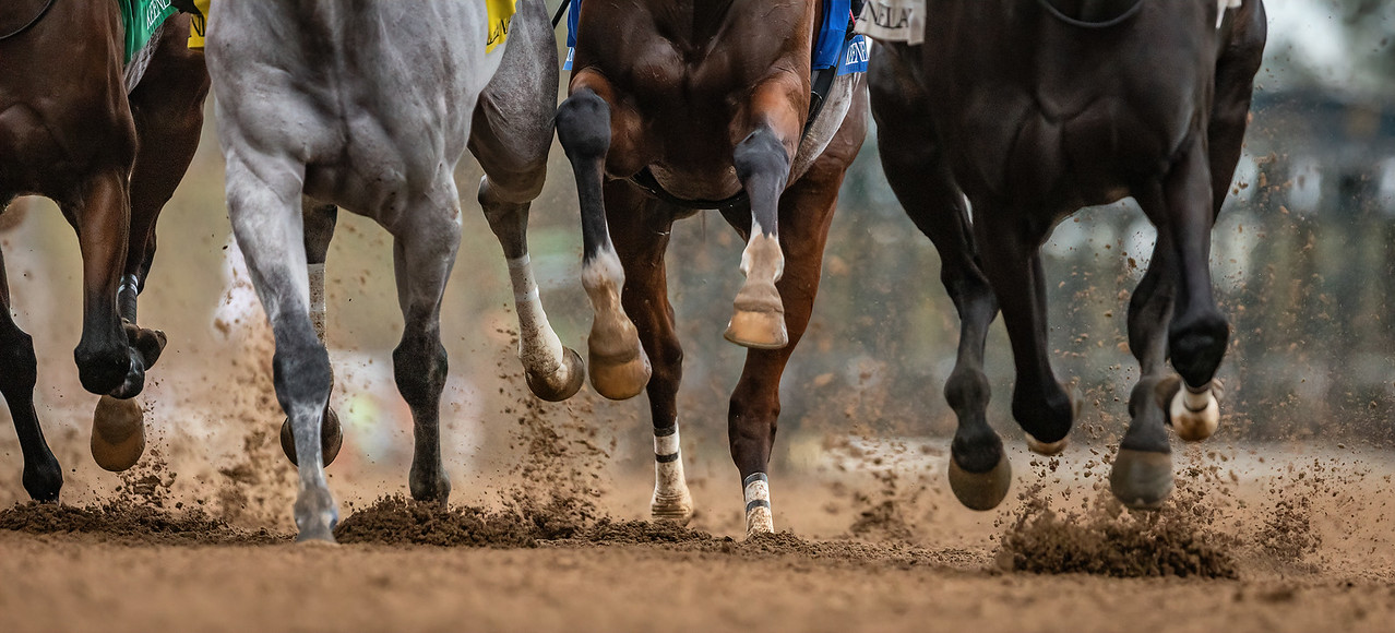 Horses racing. Photo by Mark Pearson Photography