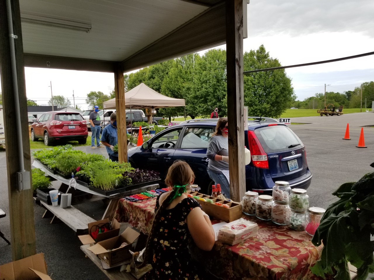 The Metcalfe County Farmers Market set up a drive-thru market. Photo by Lynn Blankenship.