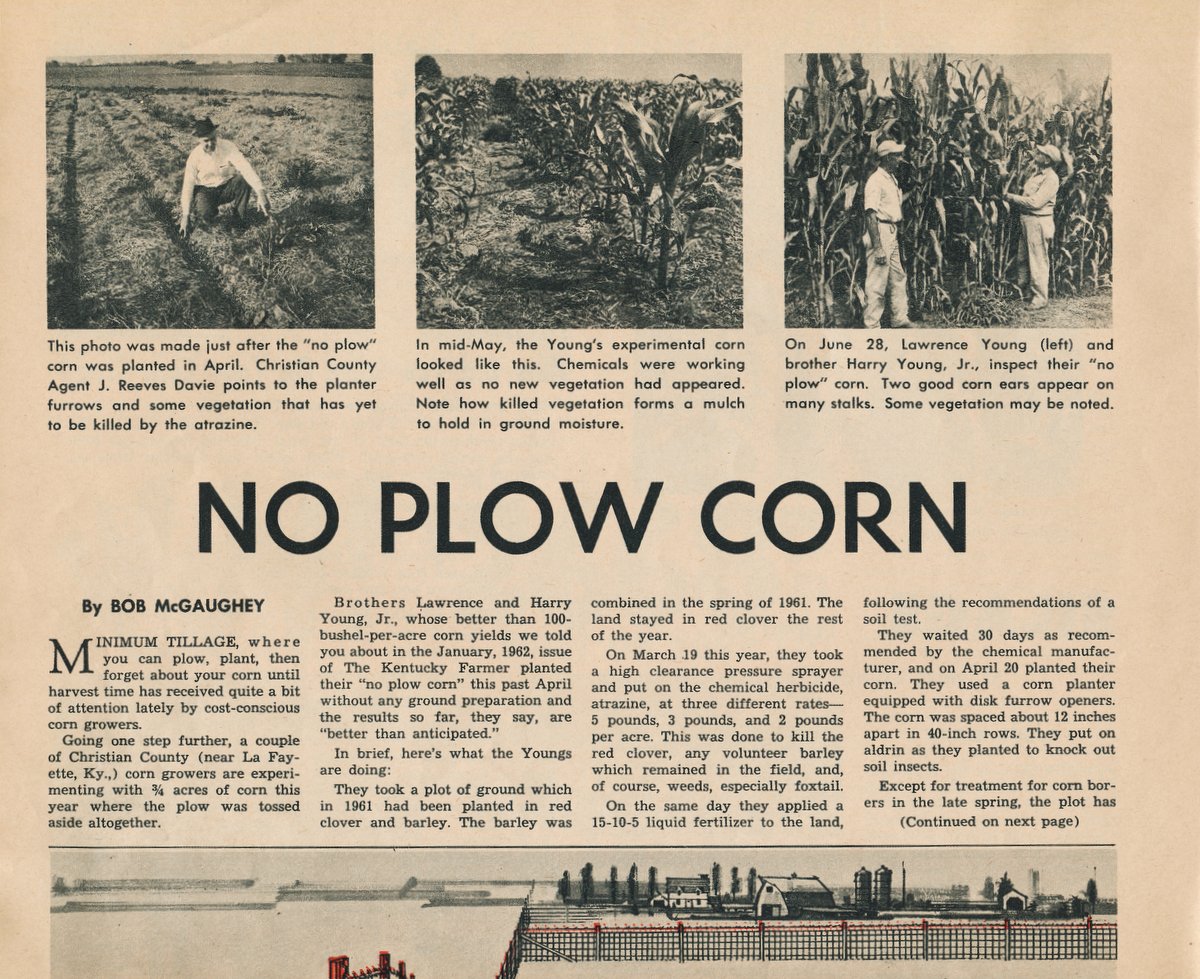 An early newspaper article about No-Plow Corn. Photo courtesy of Alexander Young.