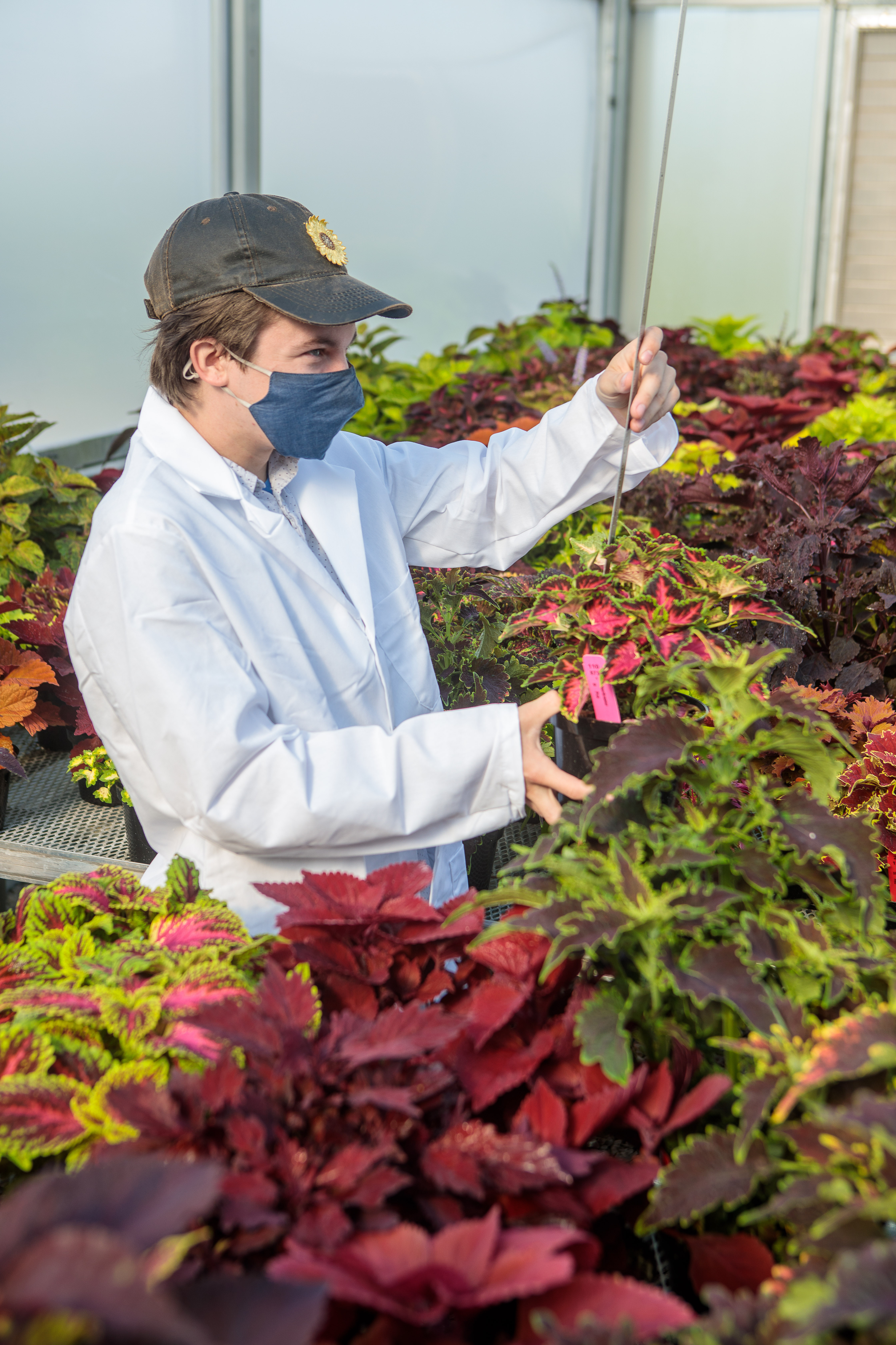 (l-r) Ty Rich, Paul Cockson and Garrett Owen compare notes for a coleus cultivar trial at the UK Horticultural Research Farm. Photo by Matt Barton