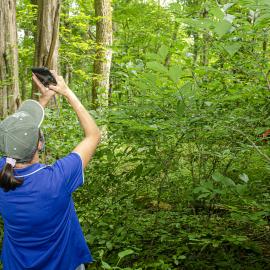 Ellen Crocker takes a picture of the tree canopy for the HealthyWoods app. Photo by Carol Lea Spence