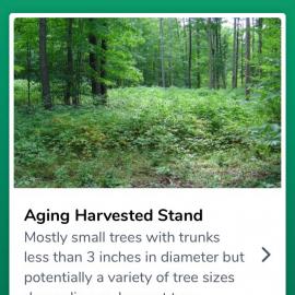 The HealthyWoods app walks users through an assessment of their woods.