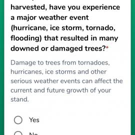 Questions walk HealthyWoods app users through an assessment of their woodlands.