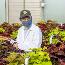 Undergraduate student Ty Rich leads a coleus cultivar trial at the University of Kentucky. Photo by Matt Barton