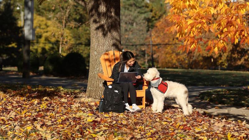 Fall color on Oct. 27 2022. Photo by Mark Cornelison | UKphoto