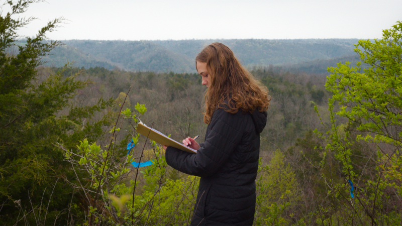 A young woman in a black coat makes notes on a clipboard among green foliage on top of a ridge, with a mountaintop far in the background.