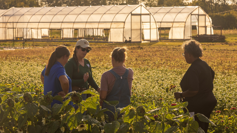 Four people stand in the foreground among row crops. Two greenhouses are in the far background.