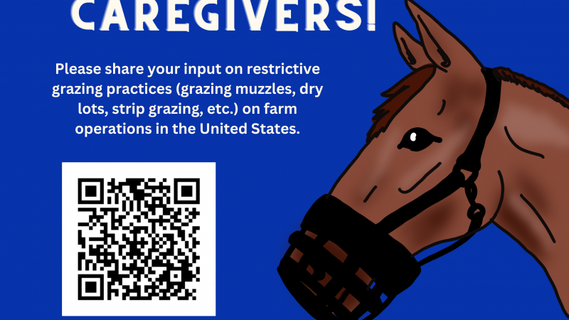 Equid Owners and Caregivers
