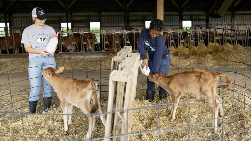 Two UK Students, Lillyah Snipes and Jillian Lujan, participate in the summer U-DAIRE program at Chaney's Dairy Barn in Bowling Green Kentucky on July 28th, 2025. Photo by Sabrina Hounshell.