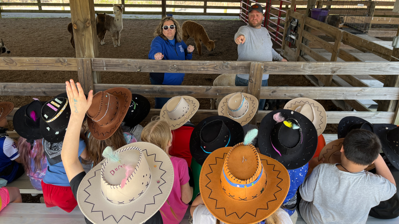 A group of children in decorated cowboy hats sit in bleachers. Two adults answer questions, with goats and alpacas in the pen behind them.