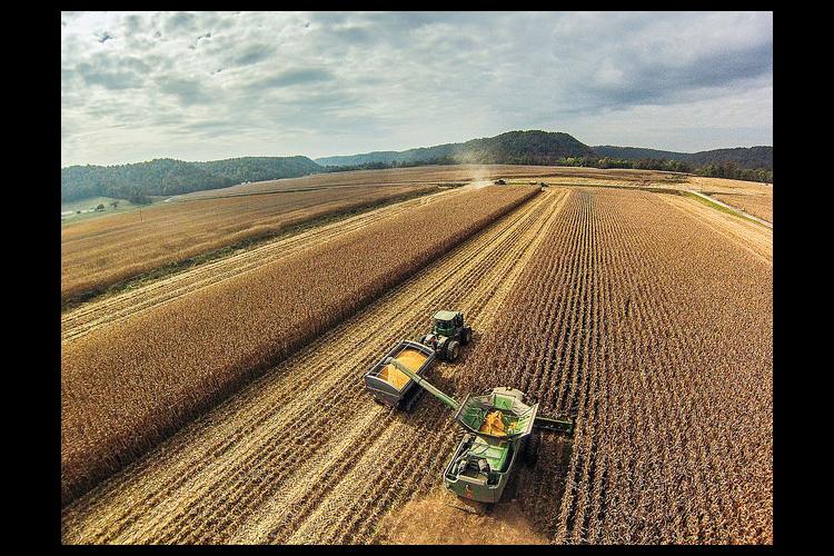 Field of grain with farm equipment.