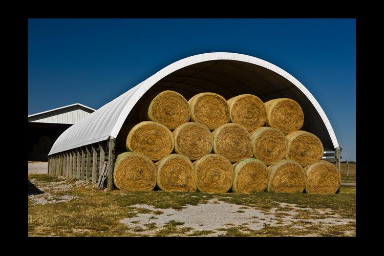 Round hay bales
