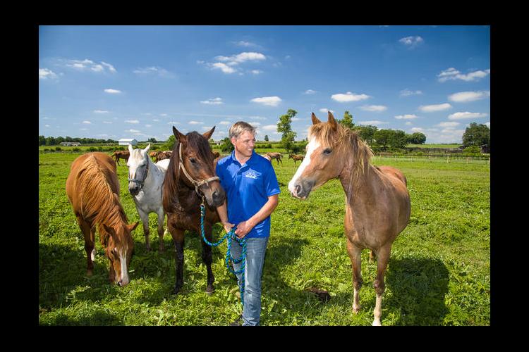 Nielsen with horses at UK's Maine Chance farm. 