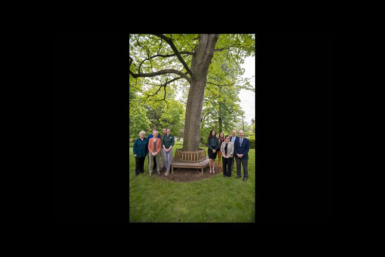 A gathering beneath a white oak on campus 