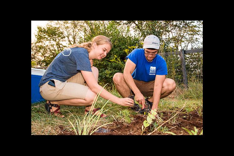 Rachel Hart and Jerrod Penn plant a monarch waystation on UK's Spindletop Farm. 