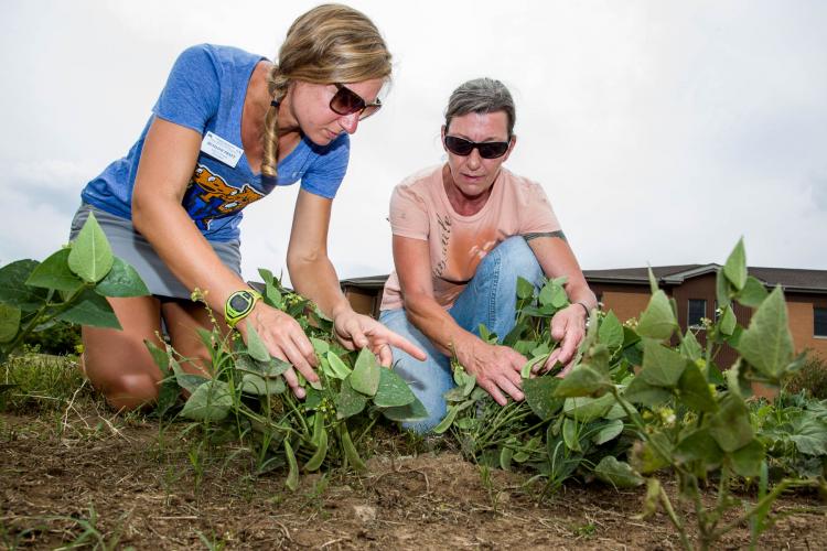 UK horticulture extension agent Bethany Pratt, left and Lisa Stull work in the garden at The Healing Place in Louisville. 