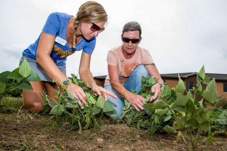 Addiction Recovery Center Garden Provides Residents With Solace News