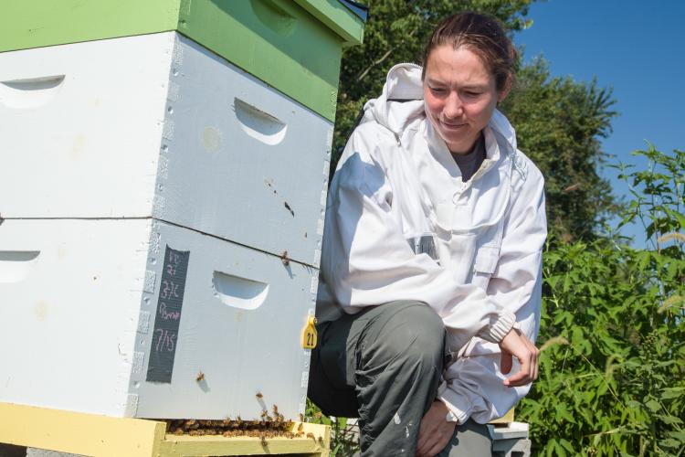 UK entomologist Clare Rittschof poses with one of her research hives at UK's Spindletop Research Farm. Photo by Steve Patton, UK agricultural communications. 