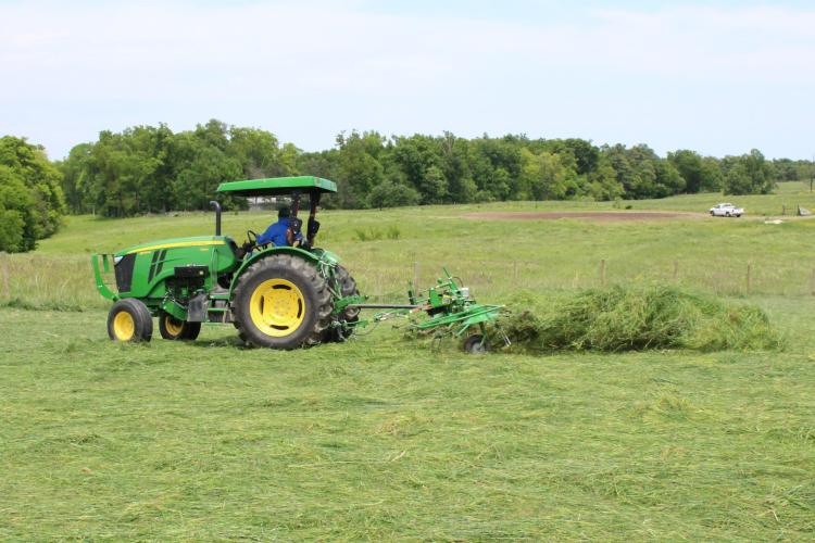 A producer cutting alfalfa hay. Photo courtesy of Chris Teutsch, UK forage extension specialist.