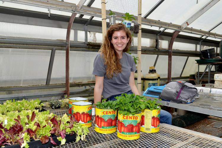 Anna Townsend's research sought to identify the most economical and feasible indoor garden for the student organization. 