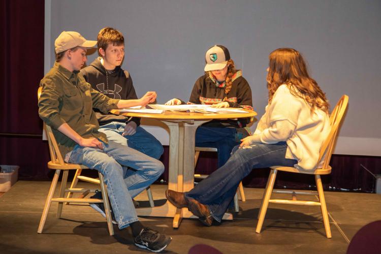 "Farmer Dinner Theater" gatherings assist farm families in discussing health issues affecting their communities through dramatic presentations starring local community youth.