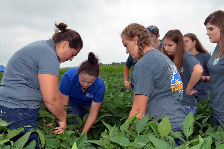 Katherine Rod, UK doctoral student, left, and Gracie Harper, UK's USDA summer intern, center, show the team from Trigg County how to growth stage soybeans. Photo by Katie Pratt, UK agricultural communications.